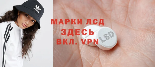 мдпв Пестово