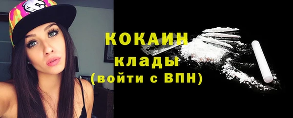 мдпв Пестово
