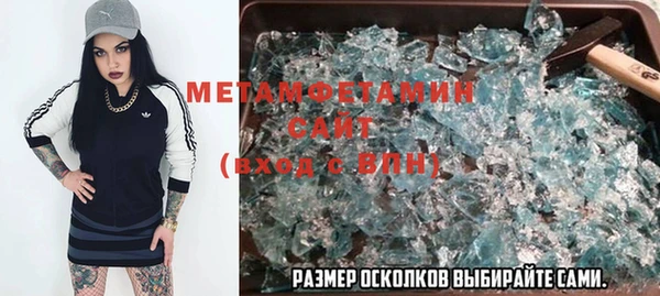 ГАЛЛЮЦИНОГЕННЫЕ ГРИБЫ Осинники