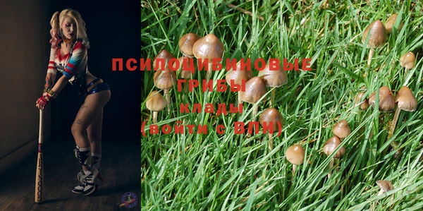 мдпв Пестово
