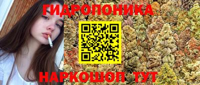 таблы Славянск-на-Кубани