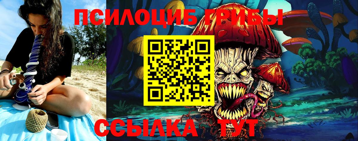 Галлюциногенные грибы Magic Shrooms Ртищево